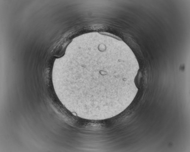 X0000114630260200912011032