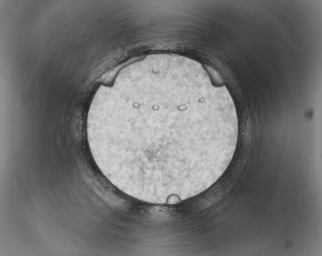 X0000114630261200912011032