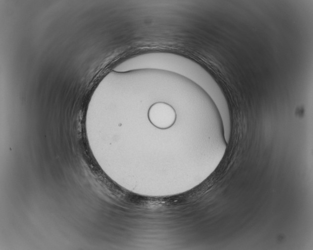 X0000114630264200912011032