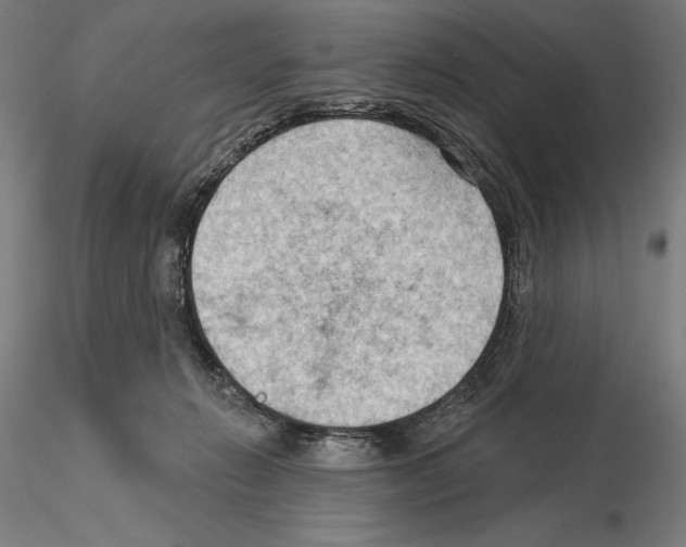 X0000114630270200912011032