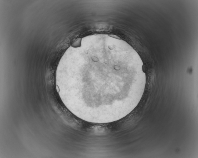 X0000114630272200912011032