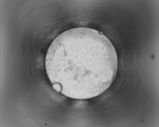 X0000114630274200912011032