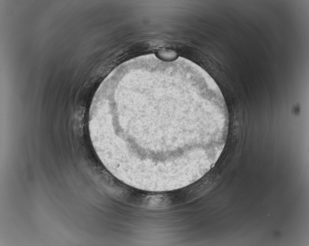 X0000114630275200912011032