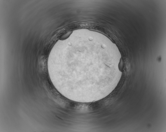 X0000114630276200912011032