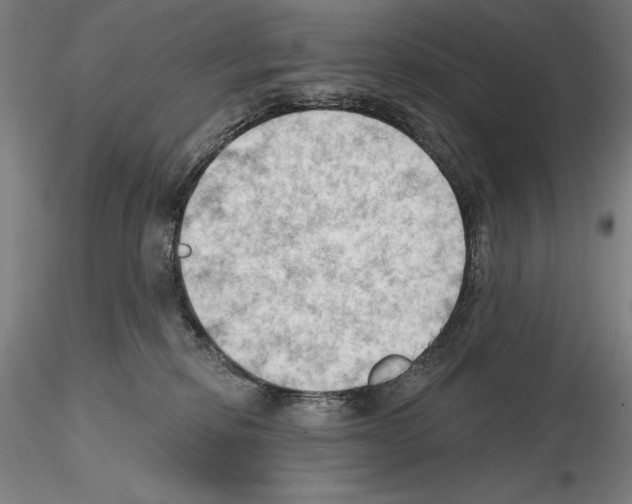 X0000114630278200912011032