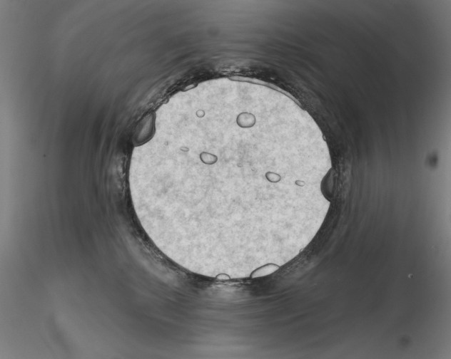 X0000114630280200912011032