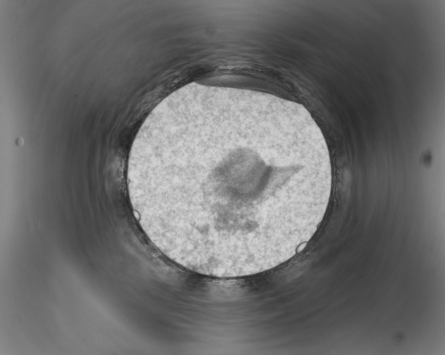 X0000114630281200912011032