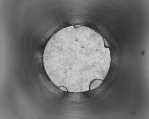 X0000114630282200912011032