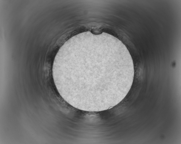 X0000114630283200912011032