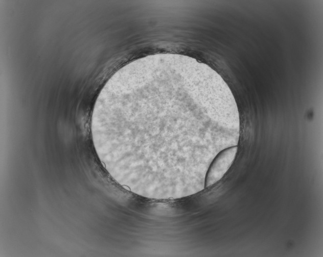 X0000114630285200912011032