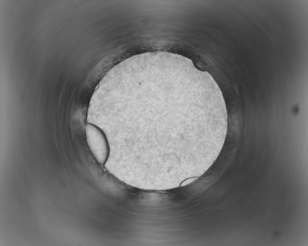 X0000114630286200912011032