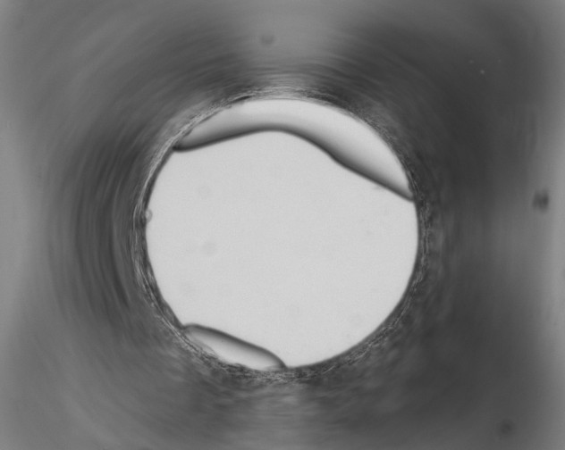 X0000114630289200912011032