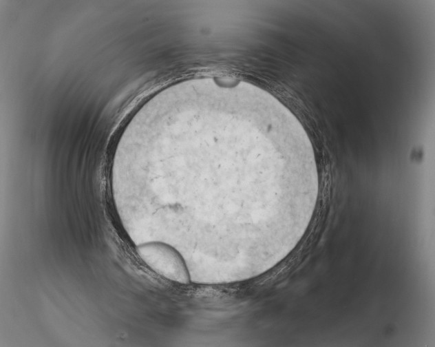 X0000114630290200912011032