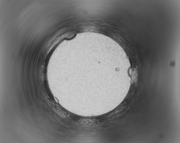 X0000114630291200912011031