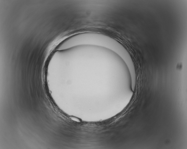 X0000114630294200912011031