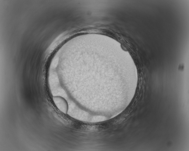 X0000114630295200912011031