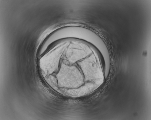 X0000114630296200912011031