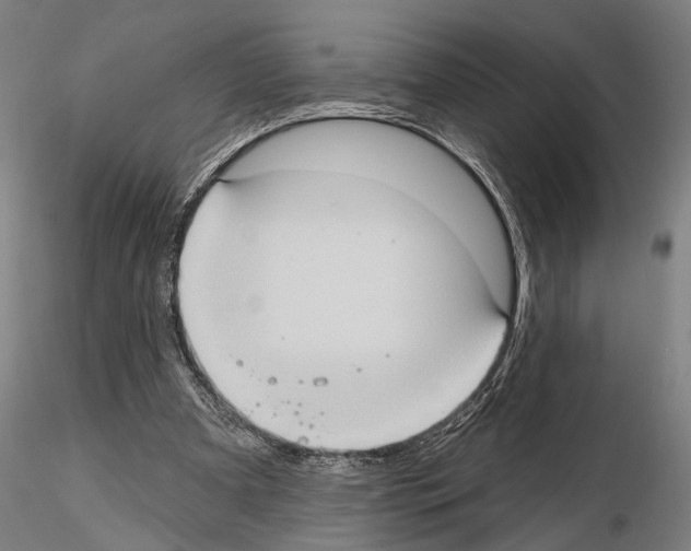 X0000114630297200912011031