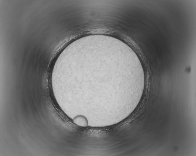 X0000114630298200912011031