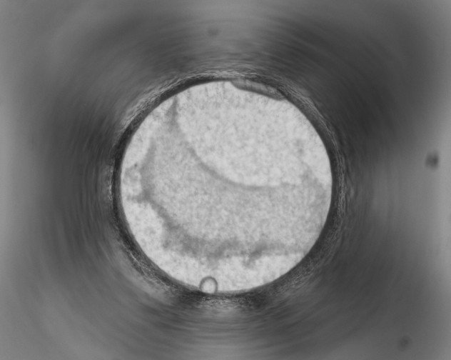 X0000114630299200912011031