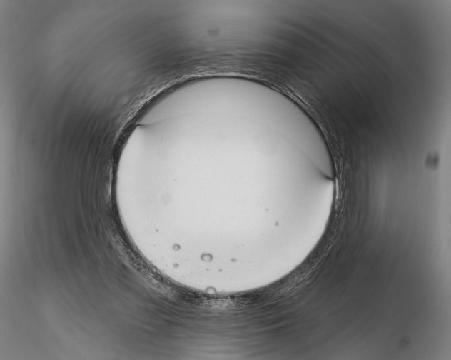 X0000114630301200912011031