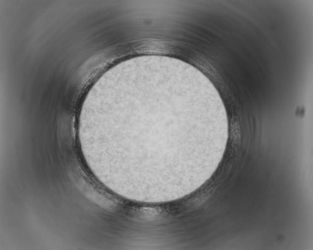 X0000114630302200912011031