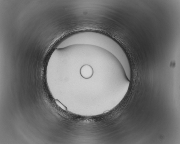 X0000114630304200912011031