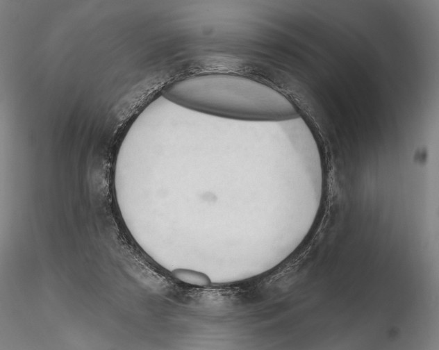 X0000114630305200912011031