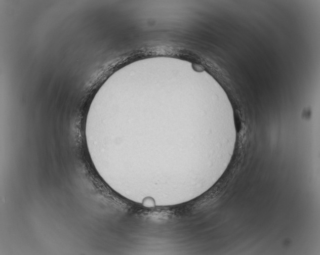 X0000114630306200912011031