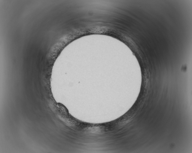 X0000114630307200912011031