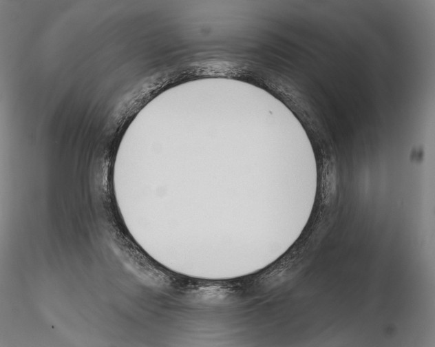 X0000114630310200912011031