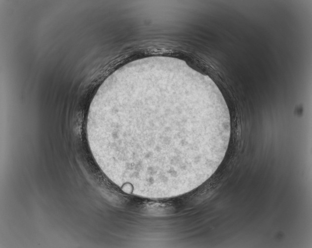 X0000114630315200912011031