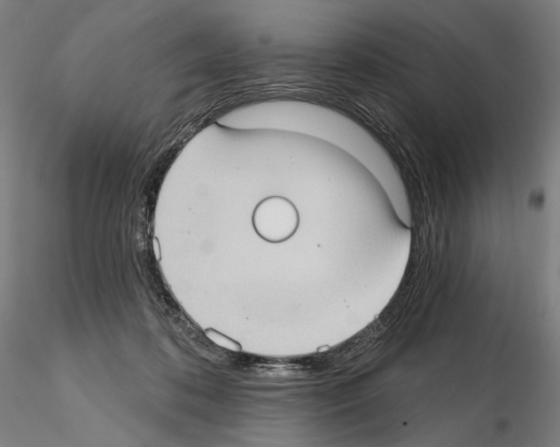 X0000114630316200912011031