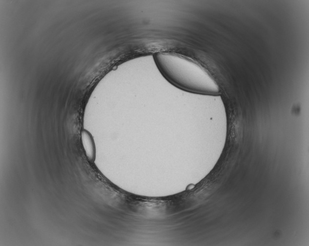 X0000114630317200912011031