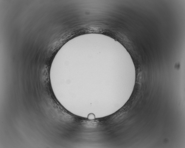 X0000114630318200912011031