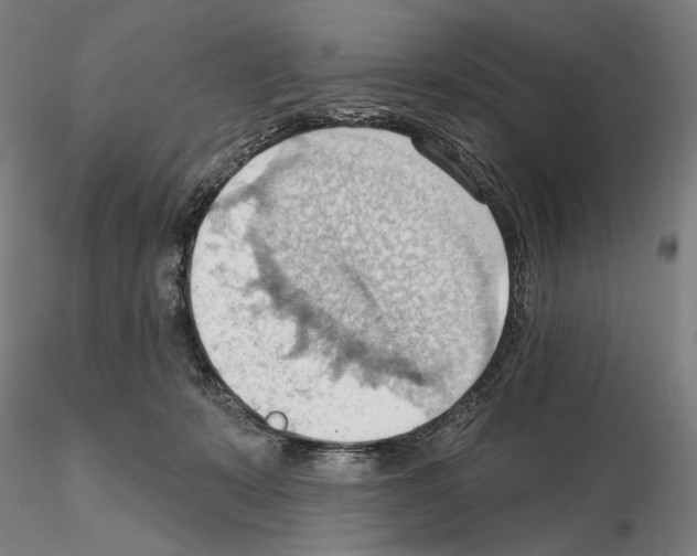 X0000114630319200912011031