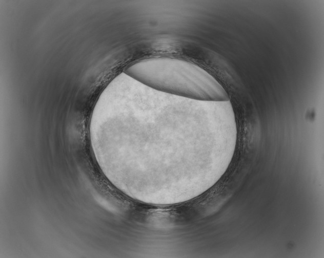 X0000114630320200912011031