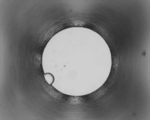 X0000114630321200912011031