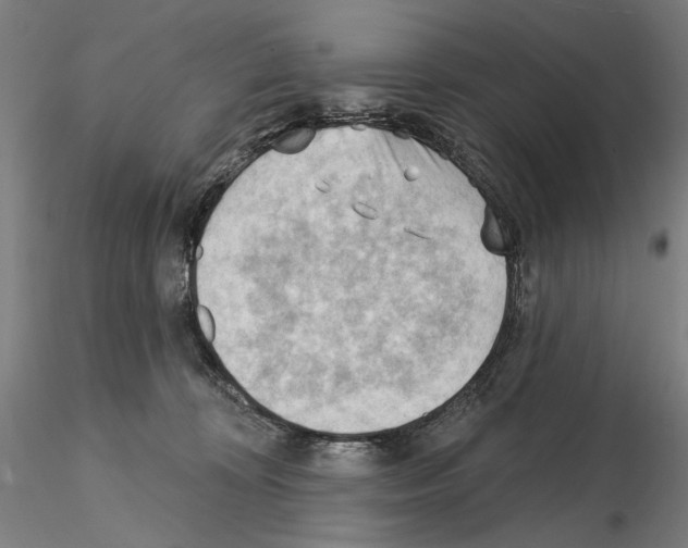 X0000114630324200912011031