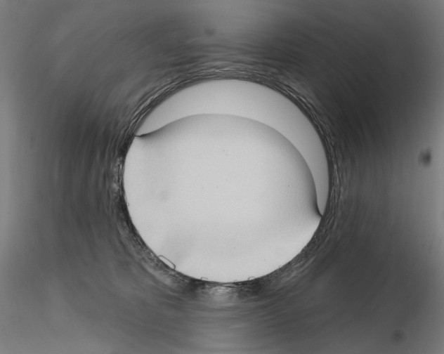 X0000114630325200912011031