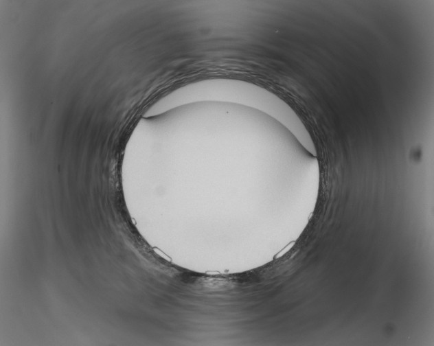 X0000114630327200912011031