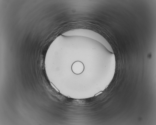 X0000114630328200912011031