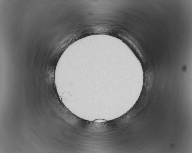 X0000114630329200912011031