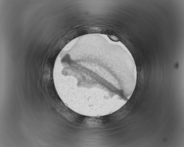 X0000114630331200912011031