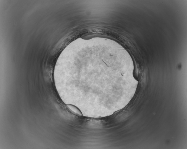 X0000114630332200912011031