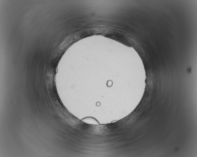 X0000114630333200912011031