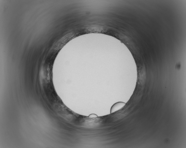 X0000114630334200912011031