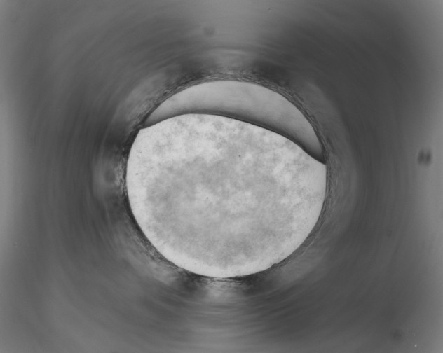 X0000114630336200912011031