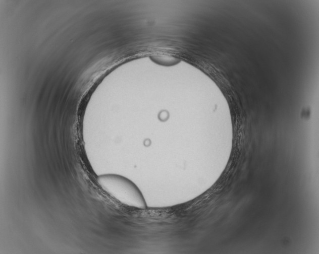 X0000114630338200912011030