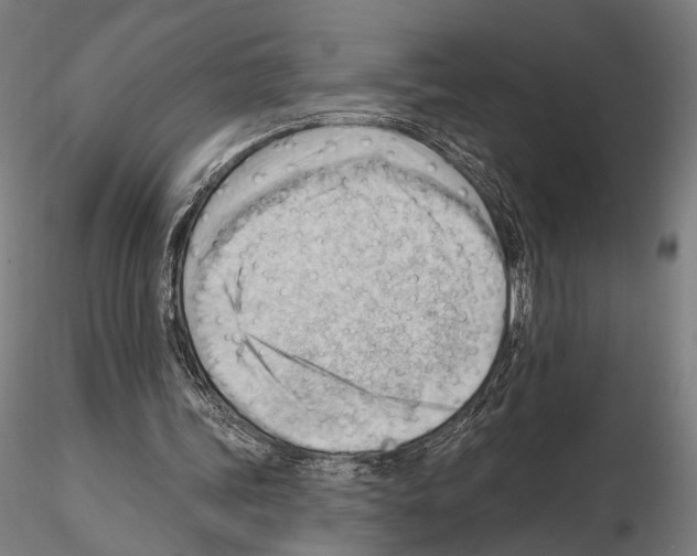 X0000114630339200912011030